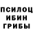 Галлюциногенные грибы Magic Shrooms Vladimir Talskiy