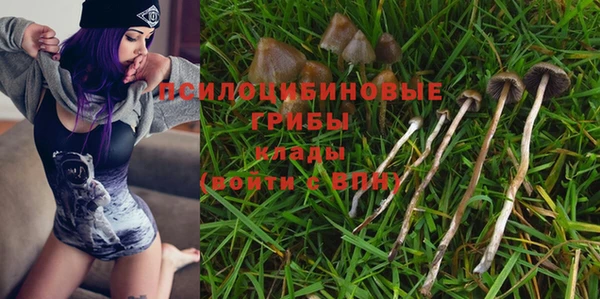 молекула духа Вязники