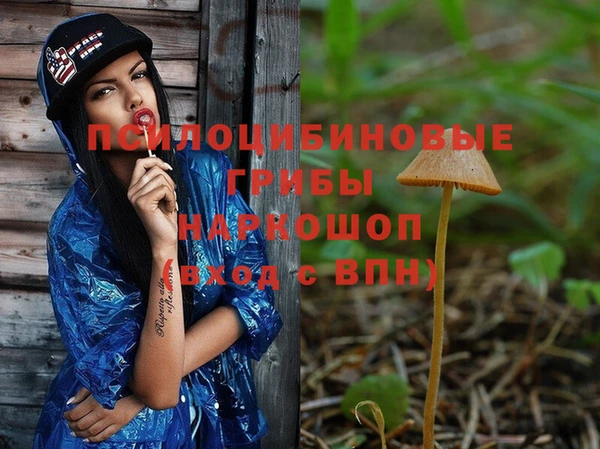 мет Вяземский