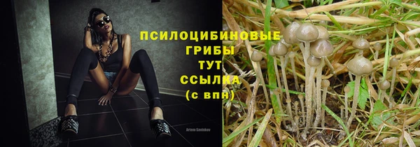 молекула духа Вязники